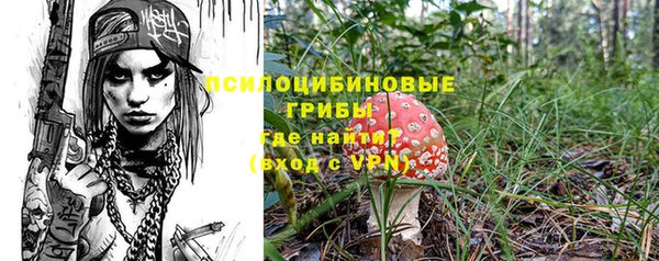 мескалин Надым